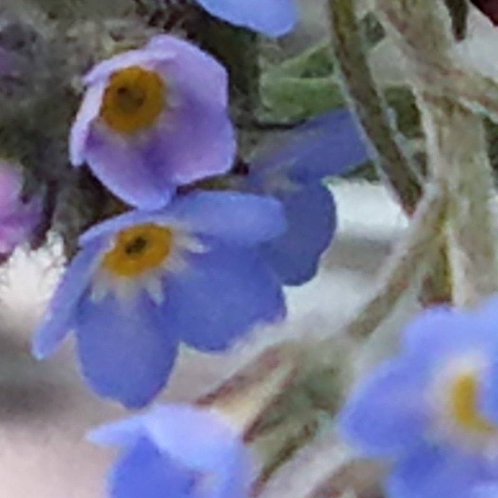 Forget Me Not Necklace Best Friend Gift