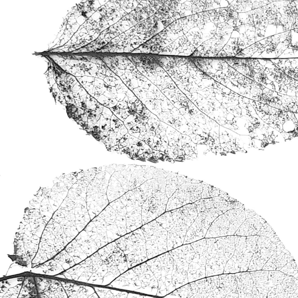 Glass Terrarium Choker