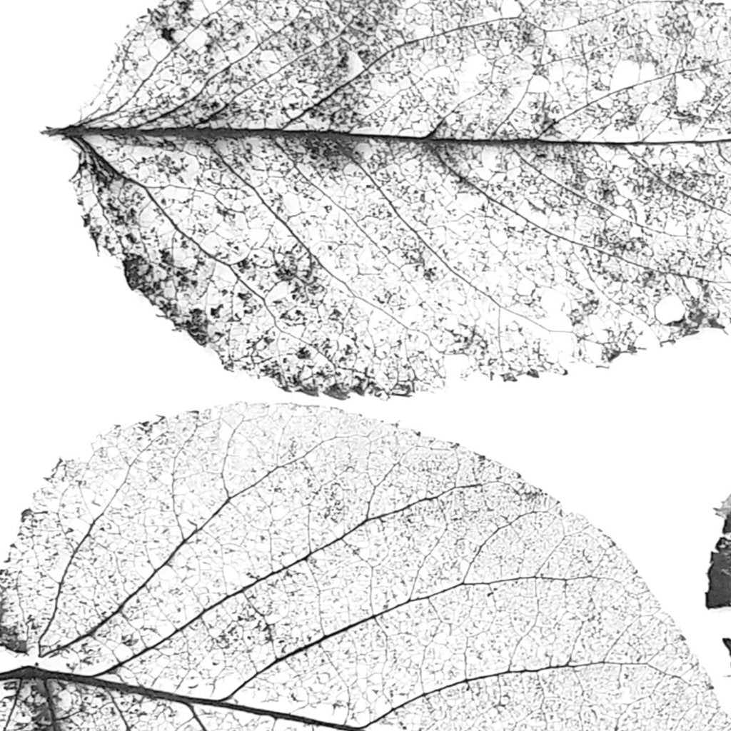 Boho Rainbow Festival Glass Leaf Pendant